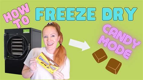 freeze dryer youtube|make your own freeze dryer.